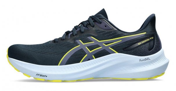 Кроссовки Asics GT-2000 12 1011B691 403