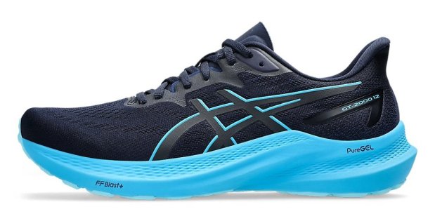 Кроссовки Asics GT-2000 12 1011B691 404