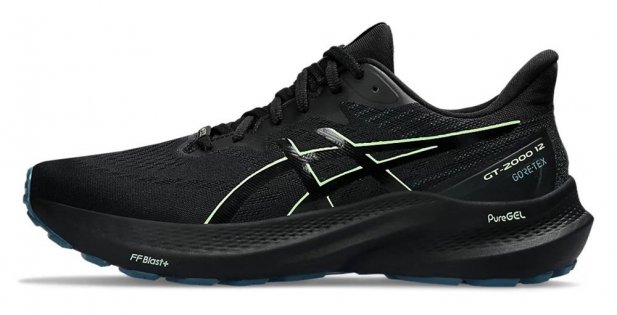 Кроссовки Asics GT-2000 12 G-TX 1011B687 001