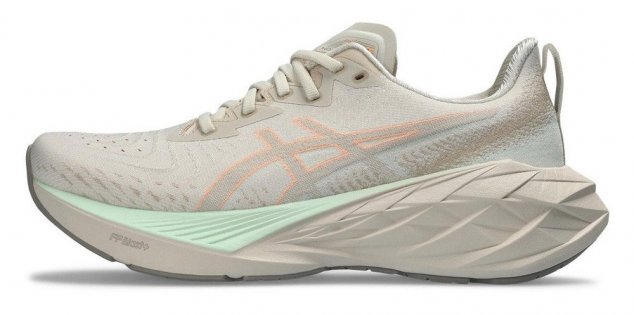 Кроссовки Asics Novablast 4 W 1012B510 250