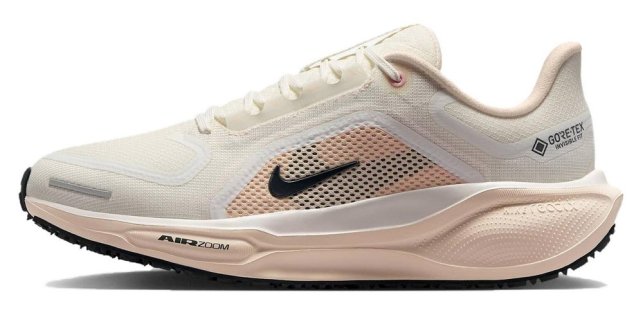 Кроссовки Nike Air Zoom Pegasus 41 G-TX W FQ1357 100