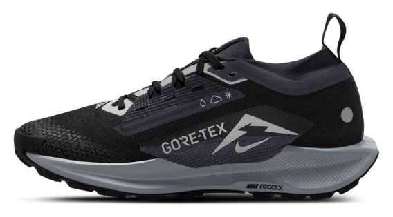 Кроссовки Nike Pegasus Trail 5 G-TX W FQ0912 001