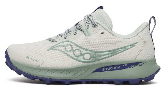 Кроссовки Saucony Peregrine 15 G-TX W S10992 260