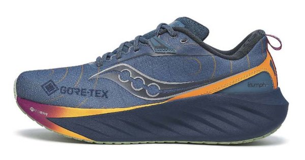 Кроссовки Saucony Triumph 22 G-TX S20966 253