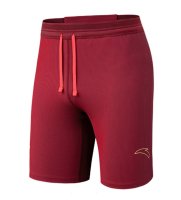 Спринтеры Anta Racing Challenge