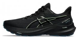 Кроссовки Asics GT-2000 12 G-TX