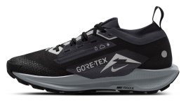 Кроссовки Nike Pegasus Trail 5 G-TX W