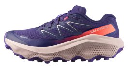 Кроссовки Salomon Ultra Flow 2 G-TX W