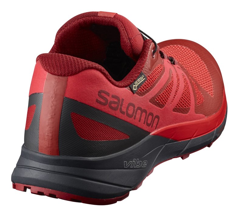 Salomon sense ride. Salomon sense. Salomon Vibe Gore Tex. Salomon Vibe кроссовки.