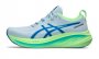 Кроссовки Asics Gel-Nimbus 26 Lite-Show 1011B847 400 №1