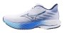 Кроссовки Mizuno Wave Rider 28 J1GC2403 01 №1