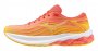 Кроссовки Mizuno Wave Skyrise 5 W J1GD2409 22 №1