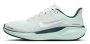 Кроссовки Nike Air Zoom Pegasus 41 W FD2723 405 №1