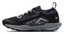 Кроссовки Nike Pegasus Trail 5 G-TX W FQ0912 001 №1