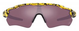 Спортивные очки Oakley Radar EV Path