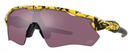 Спортивные очки Oakley Radar EV Path