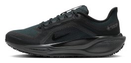 Кроссовки Nike Zoom Pegasus 41 G-TX